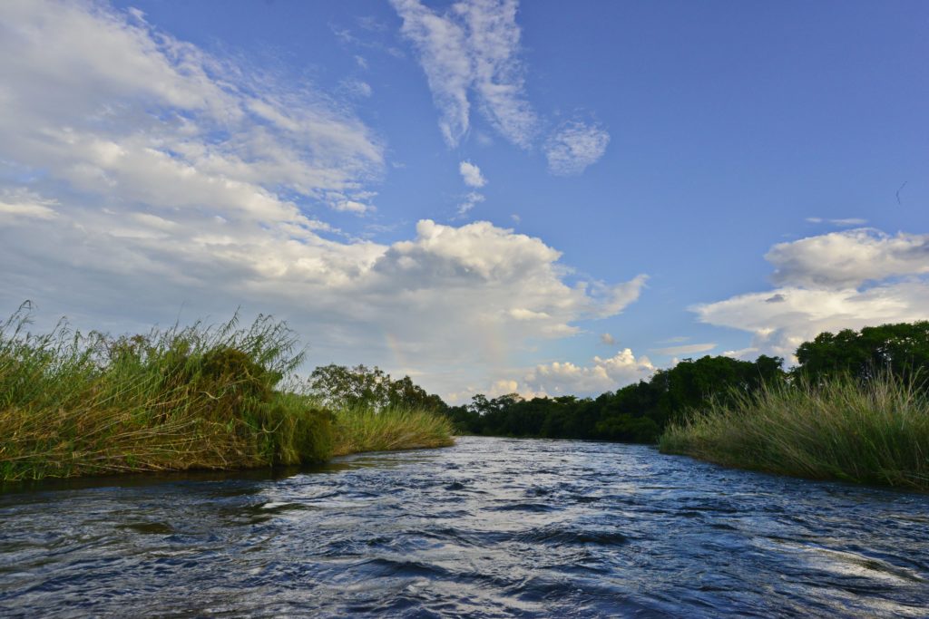 Ichingo Chobe River Lodge | Zambezi River