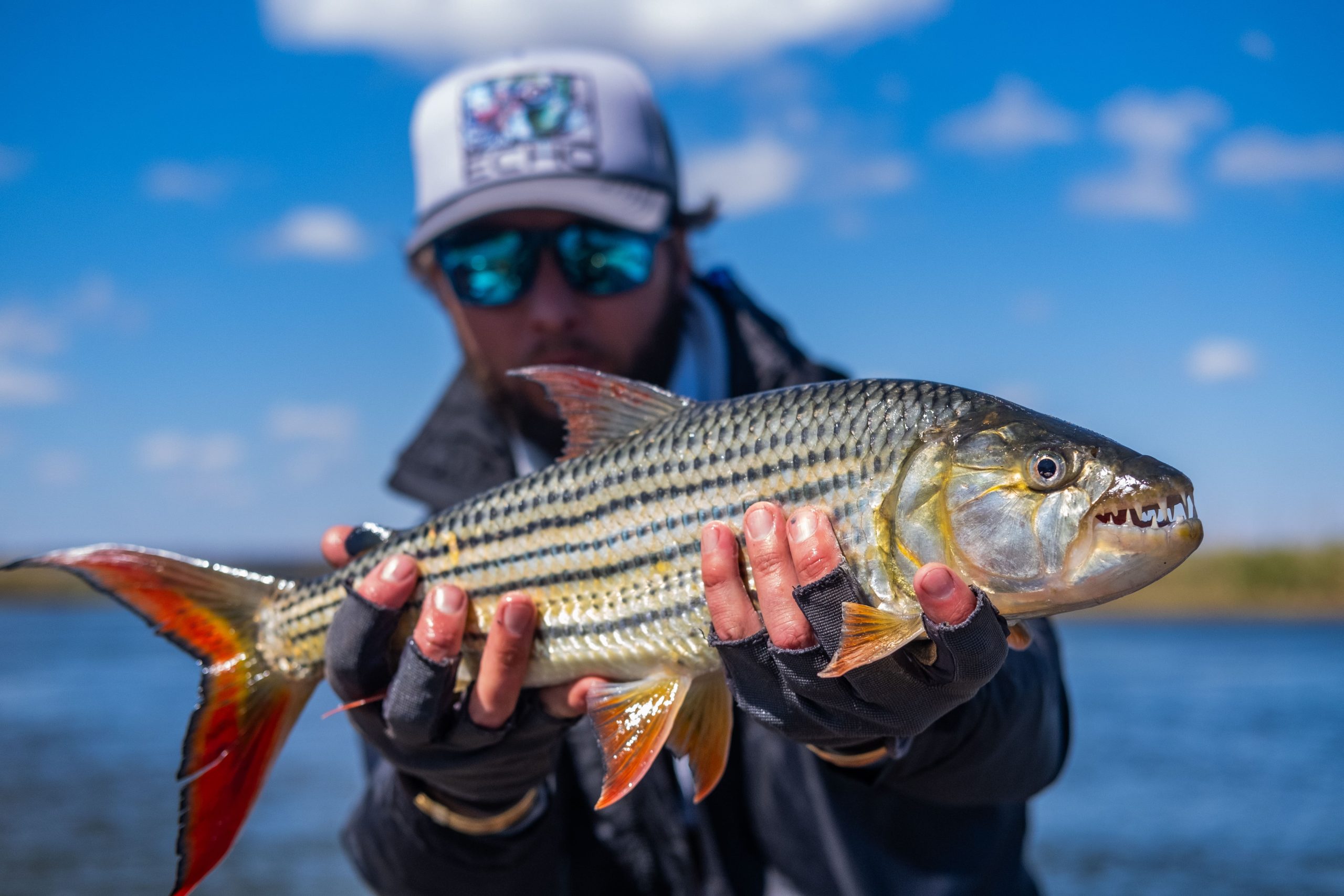 Make this the year of tiger fishing