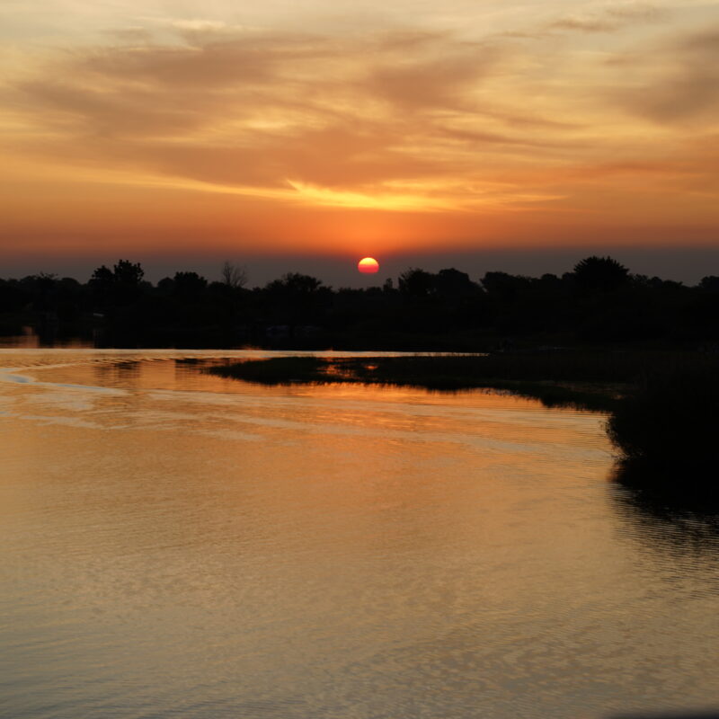 Chobe River Honeymoon sunset