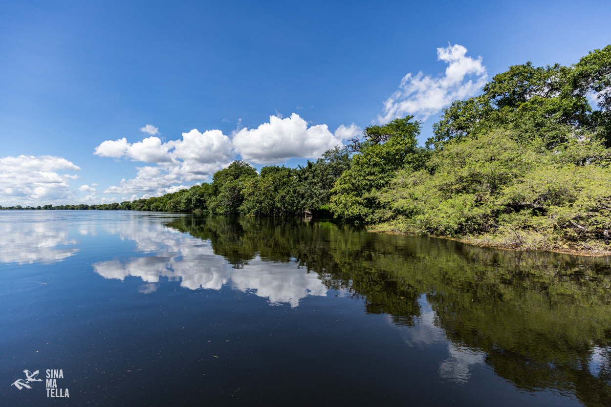 Family Safaris – Why the Green Season is the Best