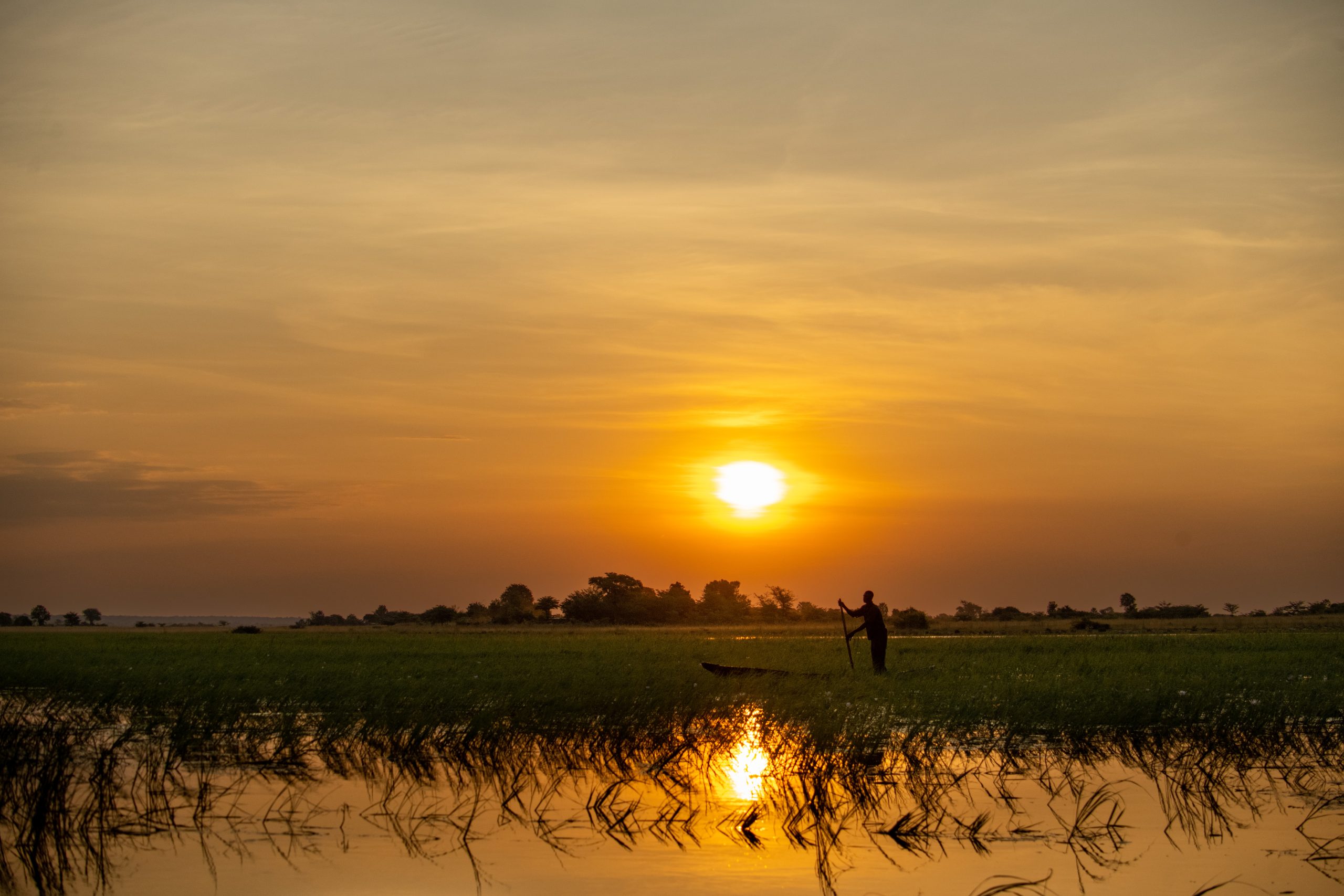 Sustainable Safaris in the Chobe