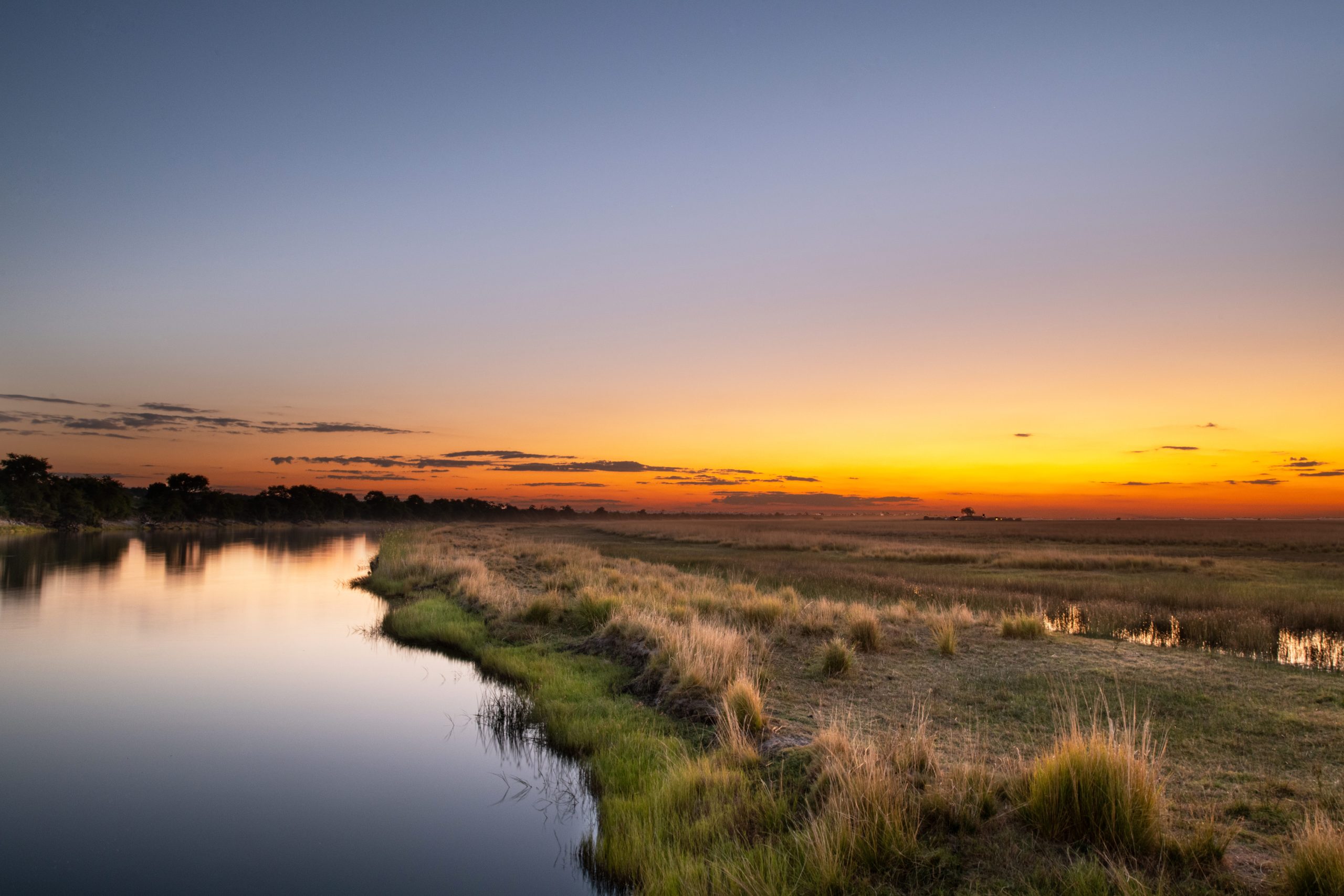 Cruising with Purpose on the Chobe River