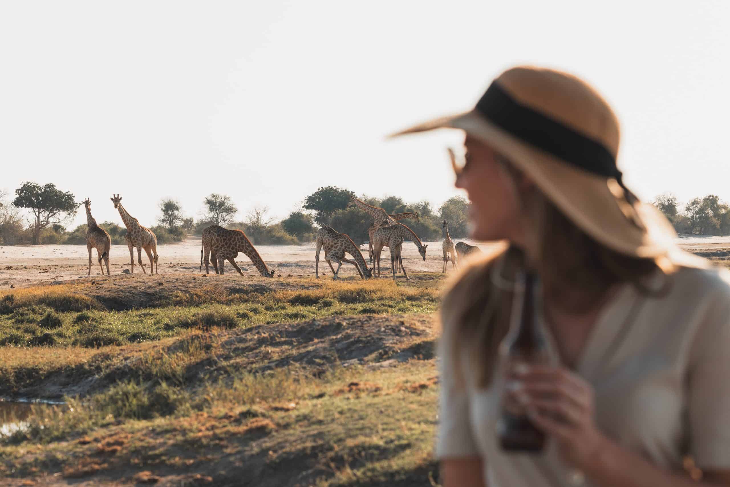 The Other Side of Chobe