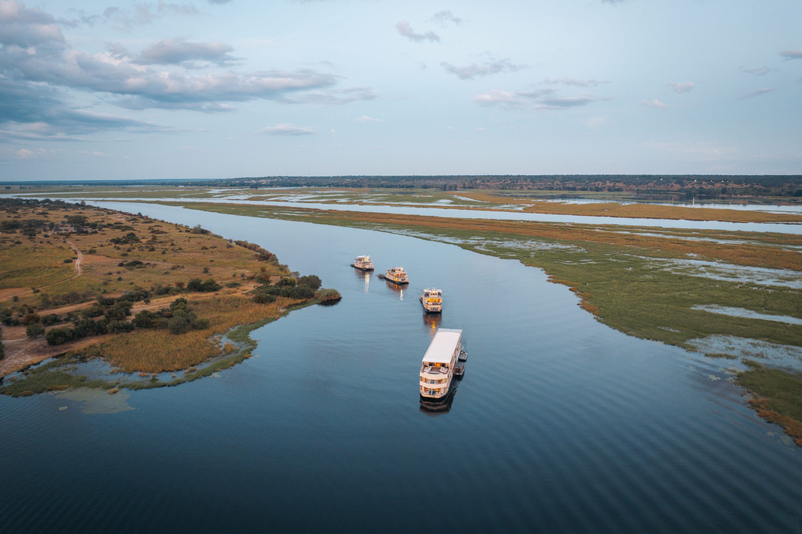 5 Best Safari Moments on the Chobe