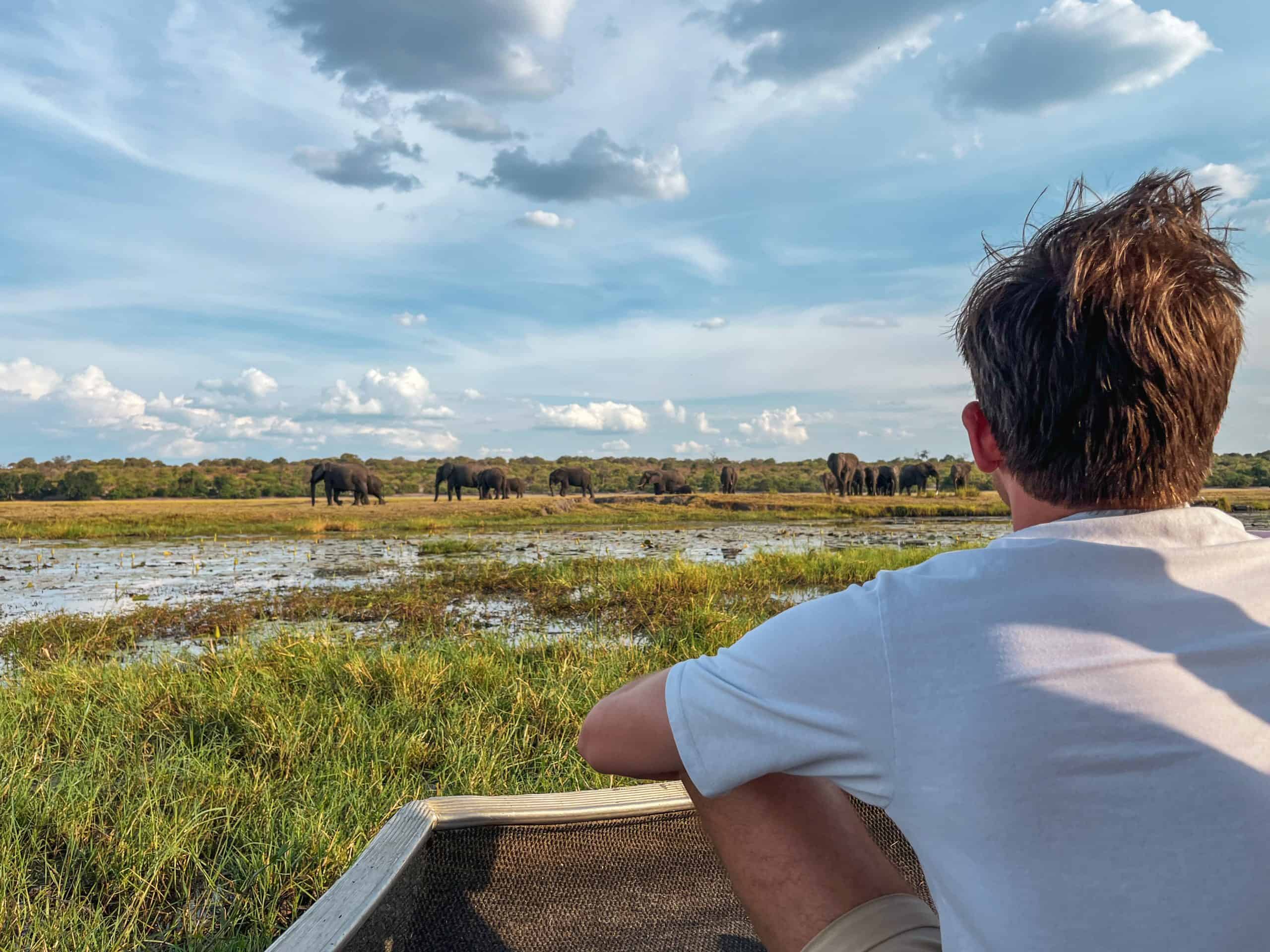 8 Ways to Explore the Chobe River During the Green Season