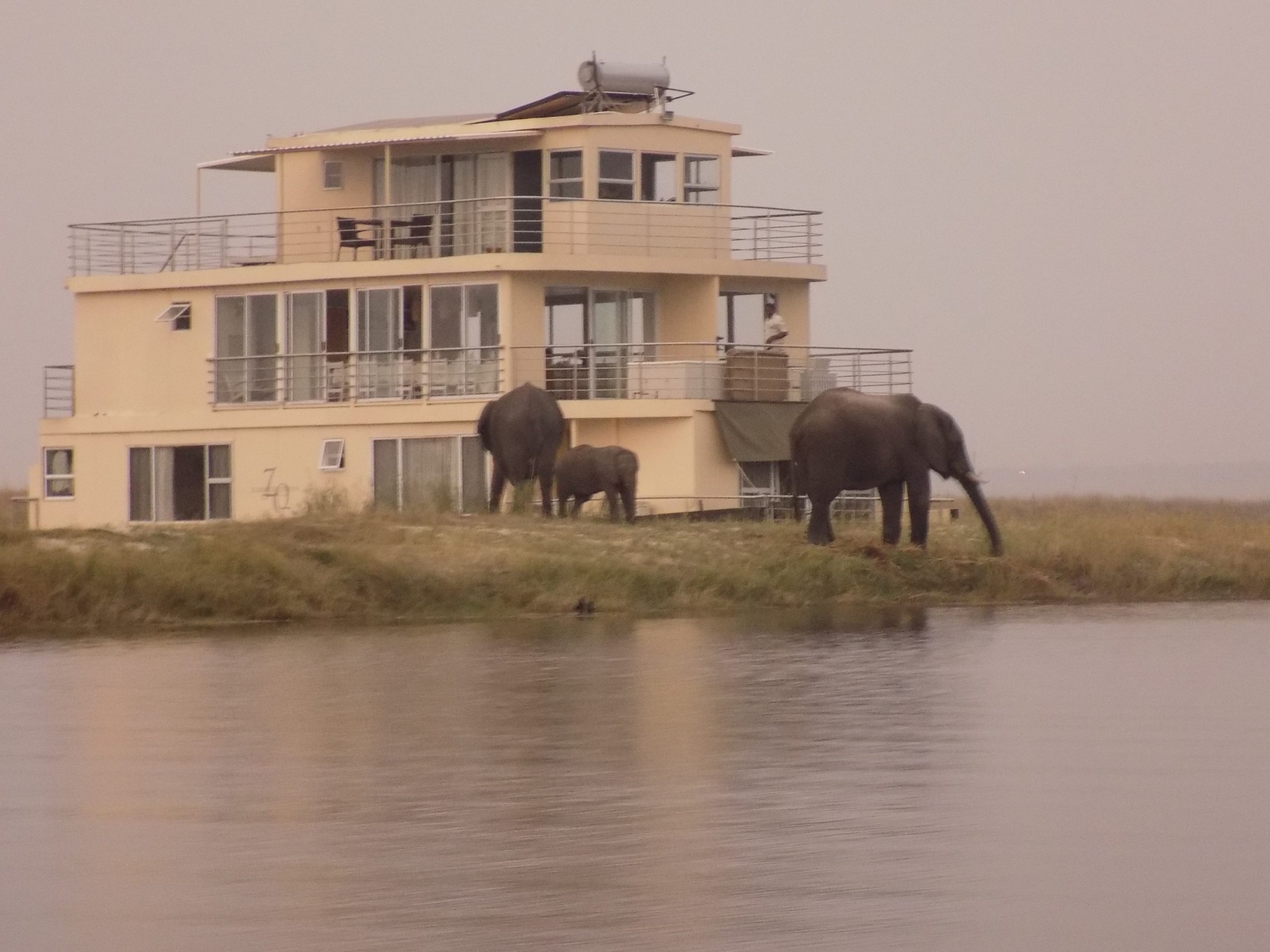 8 Ways to Explore the Chobe River During the Green Season