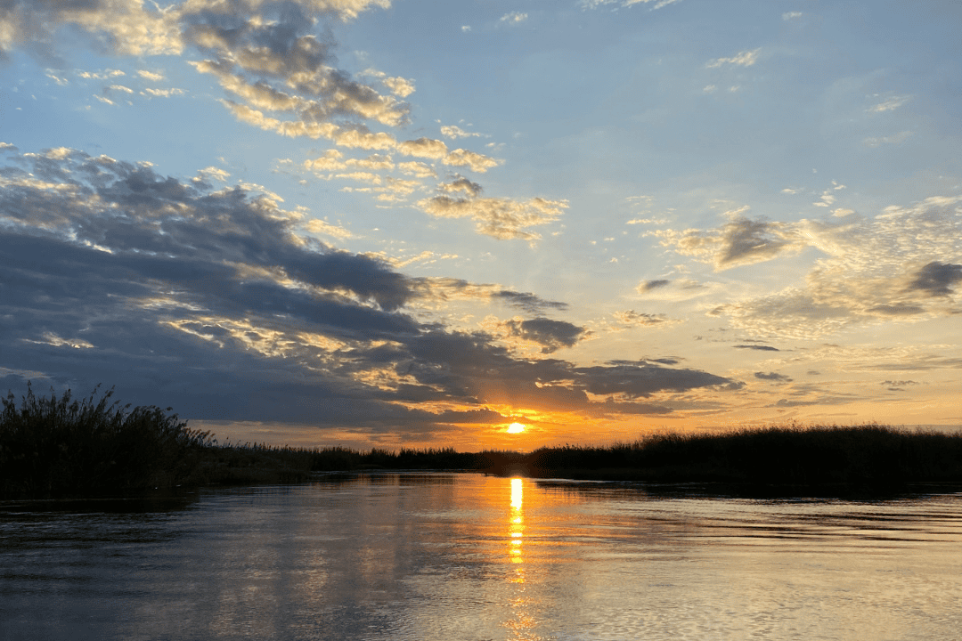 Six Nights on the Chobe: From Ichingo to the Chobe Princess
